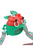Cartoon Glass Water Bottle with Straw Lid – 500ml